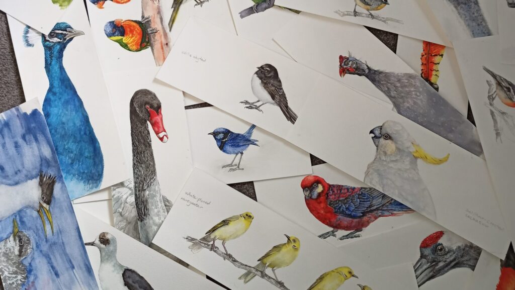 Bird Painting Art Workshop – with Jane Li (Sold Out)
